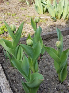 20180425_091000.jpg