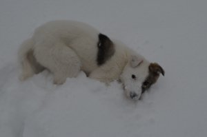 DSC_0222.JPG