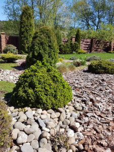 20180506_131631.jpg