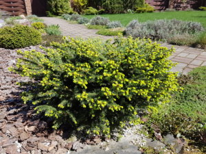 20180506_131727.jpg