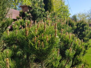 20180506_131922.jpg