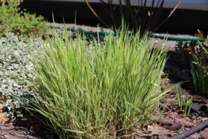 IMG_4992.JPG