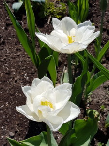 20180506_142129.jpg