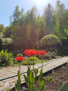 20180506_142059.jpg