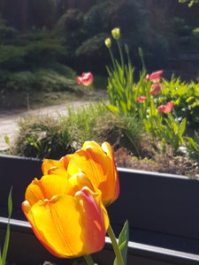 20180506_141829.jpg