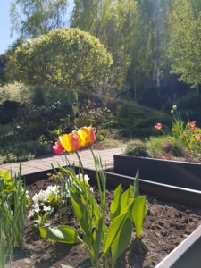 20180506_141757.jpg