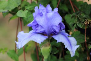 IMG_5440.JPG