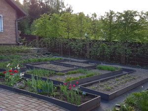 20180509_185939.jpg