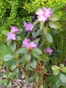 20180509_190324.jpg