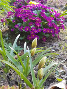 20180509_185554.jpg