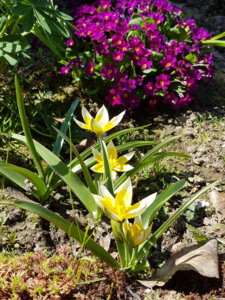 20180509_131943.jpg