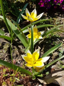 20180509_131958.jpg