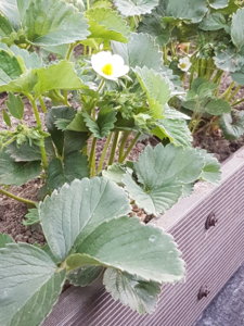 20180510_203923.jpg