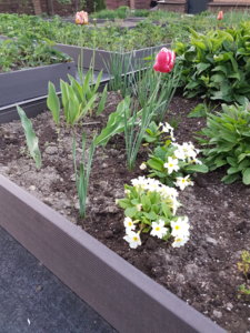 20180510_204032.jpg