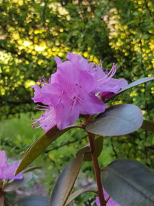 20180509_131824.jpg