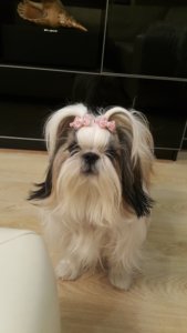 20150130_170913.jpg