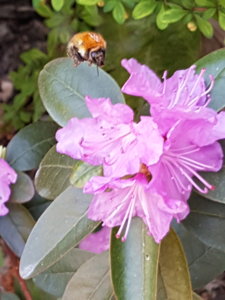 20180509_131547.jpg