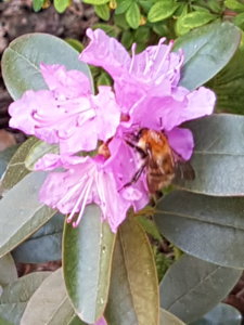 20180509_131536.jpg