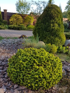 20180511_072252.jpg