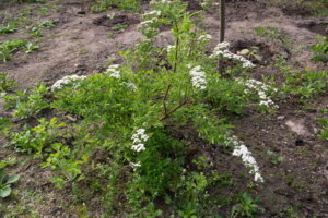 img-p-1080294_resize.jpg