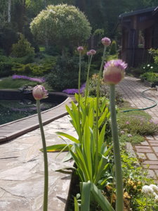 20180512_151502.jpg