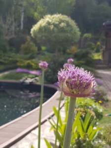 20180512_151518.jpg