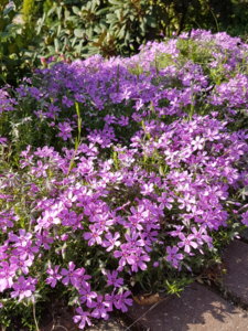 20180513_083946.jpg