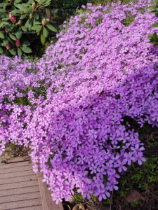 20180513_083910.jpg