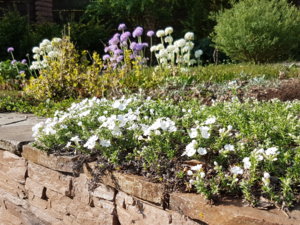20180513_084155.jpg