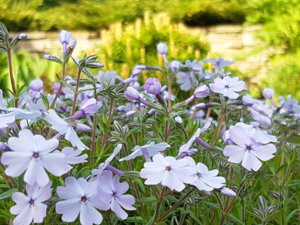 20180513_083642.jpg