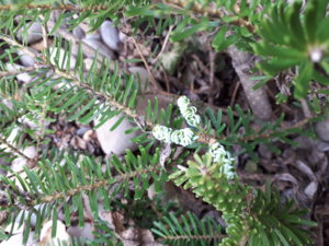 20180514_161651.jpg