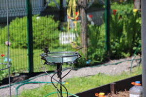 IMG_5143.JPG