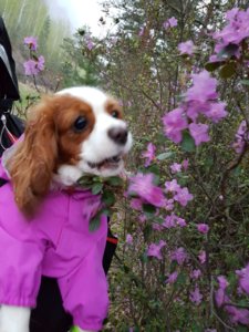 IMG-20170502-WA0002.jpg