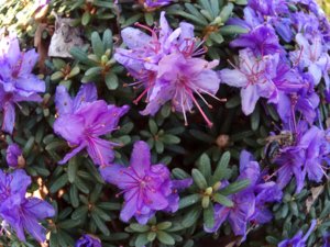 IMG_20180514_085851.jpg