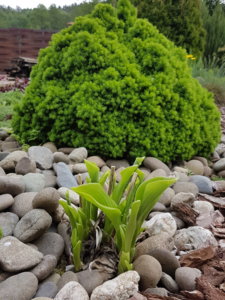20180516_092932.jpg