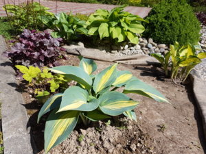 20170616_104349.jpg