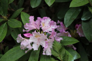 IMG_5213.JPG