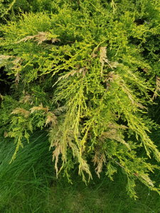 20180517_145731.jpg