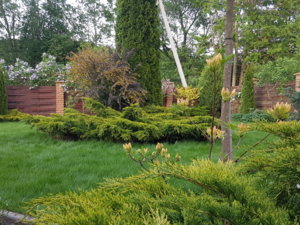 20180517_200709.jpg