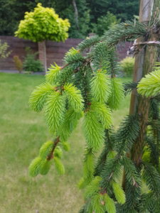 20180517_153557.jpg