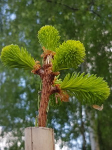 20180517_153628.jpg