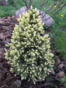 20180518_155748.jpg