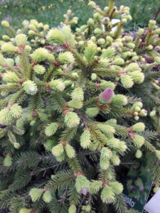 20180518_155658.jpg