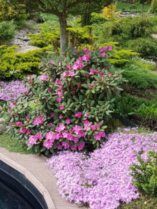 20180516_113446.jpg