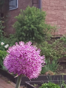 20180518_204217.jpg