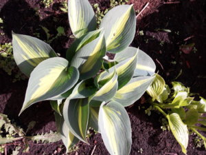 20180519_101319.jpg