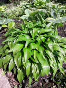 20180519_101334.jpg