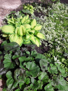 20180519_101346.jpg