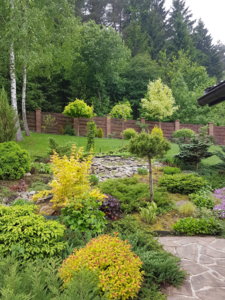 20180519_101814.jpg
