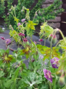 20180518_210046.jpg